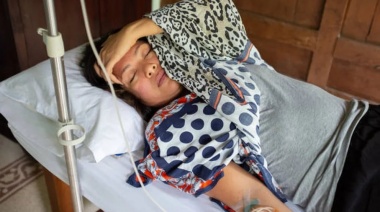 Dengue: en qué momento debo ir a la guardia y cuáles son las tres fases de infección