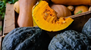 Productos saludables de calidad para los sanjuaninos