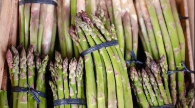 Estos son los precios de referencia de la Feria y Mercado de Abasto de la Ciudad