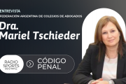 MARIEL TSCHIEDER: "Los abogados nos convertiríamos en delatores"