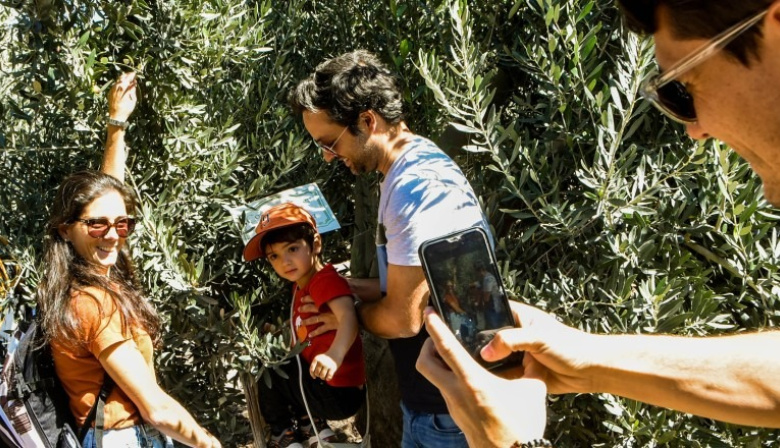Turismo y sabor, San Juan propone una experiencia entre olivares