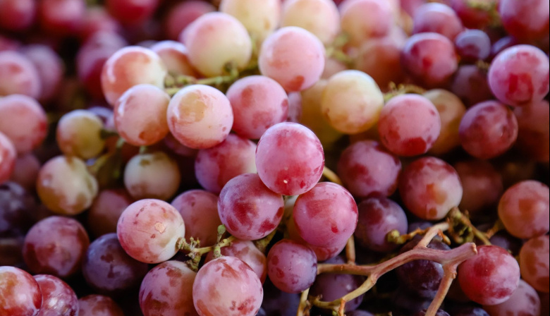 Feria y Mercado de Abasto: buenos precios y calidad para esta semana