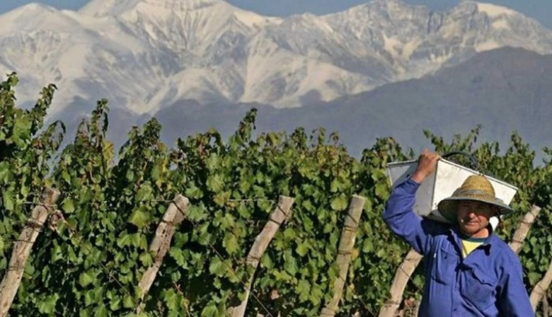 El Gobierno provincial adelantó los créditos de cosecha y acarreo y ya hay solicitudes aprobadas