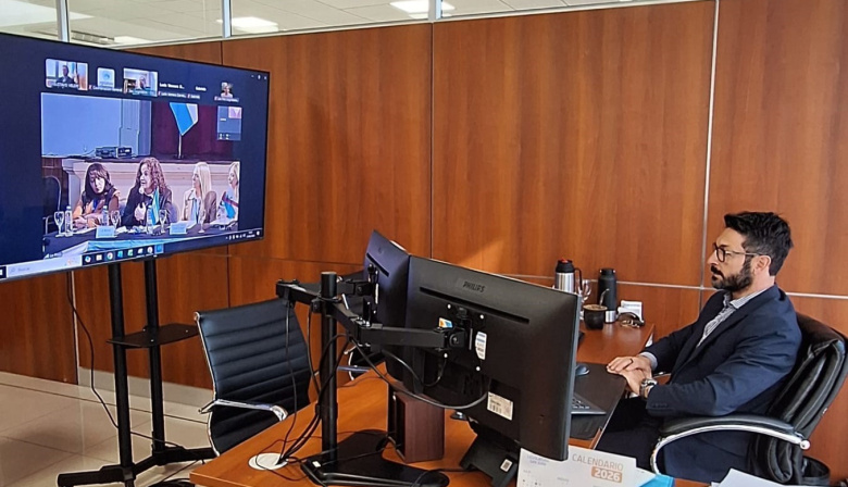 El secretario Legislativo participó de manera virtual en el encuentro federal de legislaturas