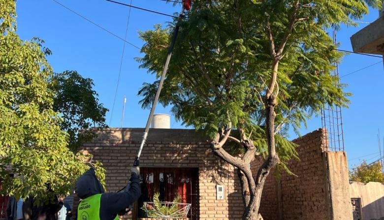 Rivadavia se prepara para la temporada de poda: faltan 11 días para su inicio