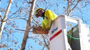 Operativo de arbolado público en la Ciudad de San Juan