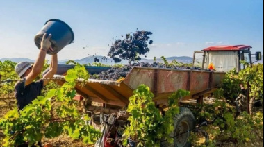 Orrego lanzó un plan de $11.000 millones para financiar la cosecha y elaboración de sectores agroindustriales