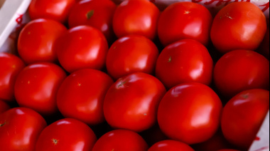 Feria y Mercado de Abasto: buenos precios y calidad para este año nuevo