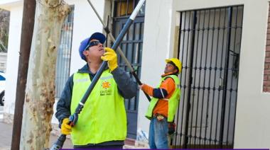 Operativos de arbolado público continúan durante la semana en la Ciudad