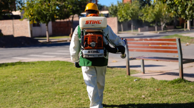 Continúan los operativos de desinsectación, desratización y educación ambiental en la Ciudad