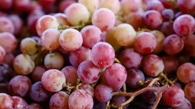 Feria y Mercado de Abasto: buenos precios y calidad para esta semana