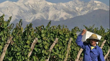 El Gobierno provincial adelantó los créditos de cosecha y acarreo y ya hay solicitudes aprobadas