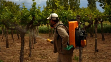 Sanidad vegetal, un pilar de la economía y la seguridad alimentaria