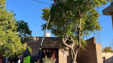 Rivadavia se prepara para la temporada de poda: faltan 11 días para su inicio