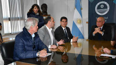 San Juan relevará y protegerá sus árboles de valor patrimonial