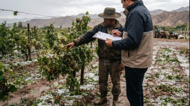 Inclemencias climáticas: qué hacer ante daños en la producción provocados por lluvias y cómo realizar la denuncia
