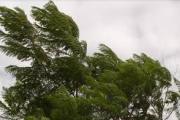 Pronóstico del Tiempo: ¿Cuándo llegará el viento sur a San Juan?