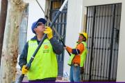 Operativos de arbolado público continúan durante la semana en la Ciudad