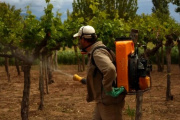 Sanidad vegetal, un pilar de la economía y la seguridad alimentaria