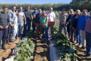 Se realizó una jornada de asistencia a productores hortícolas de Albardón