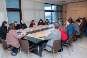 Legisladores analizaron y dieron despacho a proyectos educativos y culturales
