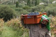 El Gobierno de San Juan refuerza los créditos para el sector agrícola en Punto Pyme