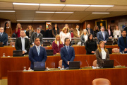 La Legislatura sancionó la Campaña Provincial de Concientización sobre Sífilis