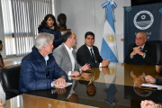 San Juan relevará y protegerá sus árboles de valor patrimonial