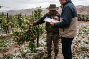 Inclemencias climáticas: qué hacer ante daños en la producción provocados por lluvias y cómo realizar la denuncia